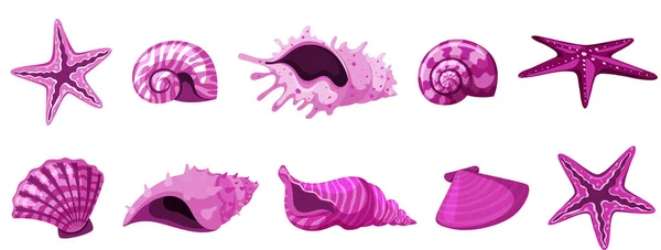 Ensemble de coquillages isolés de couleur rose — Image vectorielle