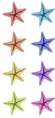 Farklı renklerde denizyıldızı seti
