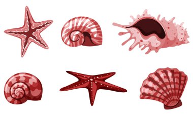 Kırmızı renkte izole edilmiş deniz kabukları.