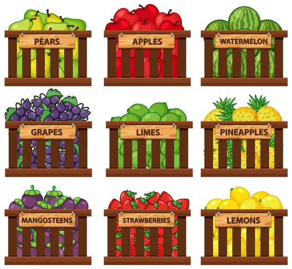 Nine types of fruits in wooden baskets — Stock Vector