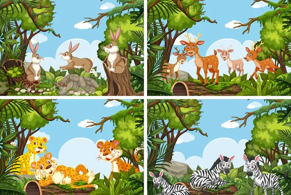 Set di vari animali in scene naturalistiche — Vettoriale Stock