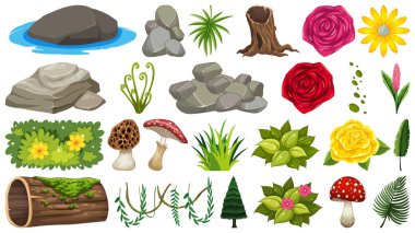 Kayalar ve çiçekler.