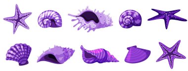 Mor renkte izole edilmiş deniz kabukları.