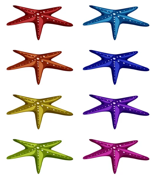 Set of starfish in different colors — ストックベクタ
