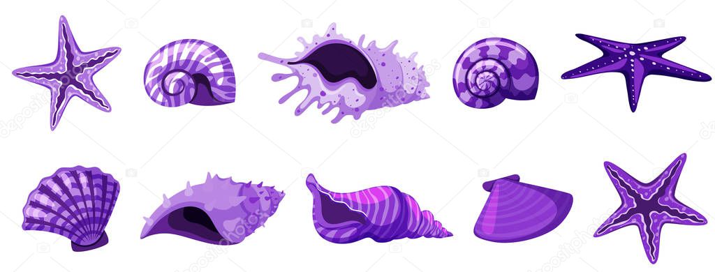 Set of isolated  seashells in purple color