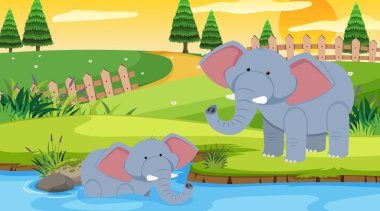 Parkta fillerin olduğu sahne