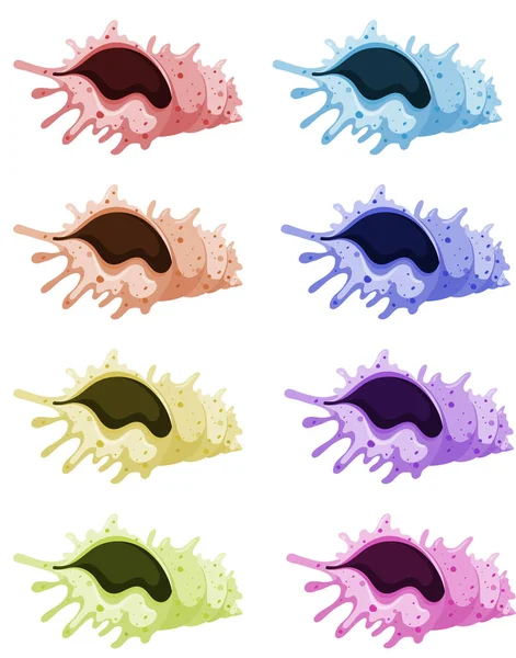 Ensemble de coquillages de différentes couleurs — Image vectorielle
