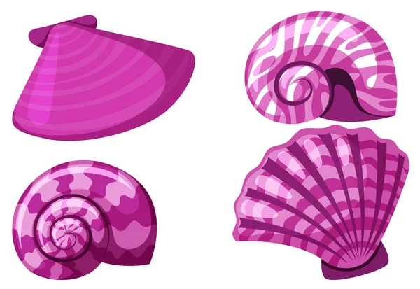 Isolated seashells in pink color — 스톡 벡터