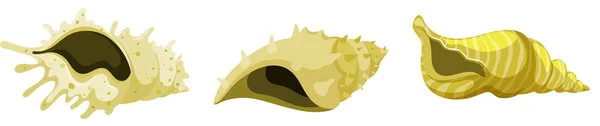 Conjunto de conchas marinas aisladas en color amarillo — Archivo Imágenes Vectoriales
