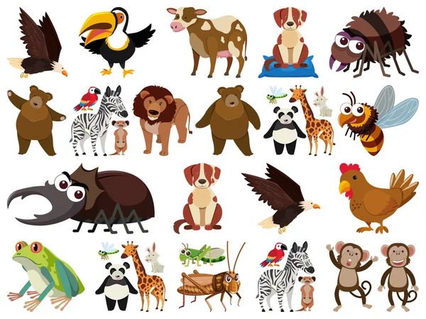 173 Kaki kucing Vector Images, Kaki kucing Illustrations - Page 2