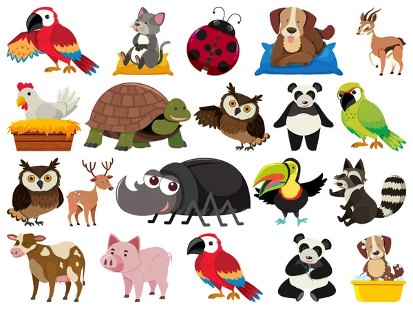 wallpapers Animales Nocturnos Animados En Español animales nocturnos vector grafico