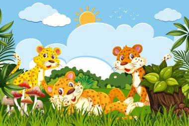 Cheetahs in nature scene
