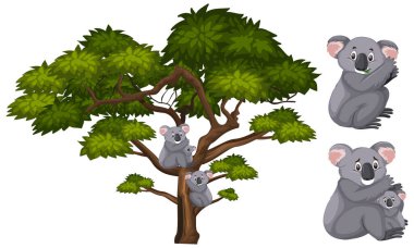 Big green tree and koalas on the branch clipart