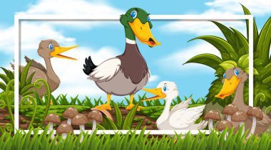 Frame design with ducks in the woods background