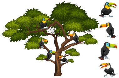Big tree with many toucan birds on the branch