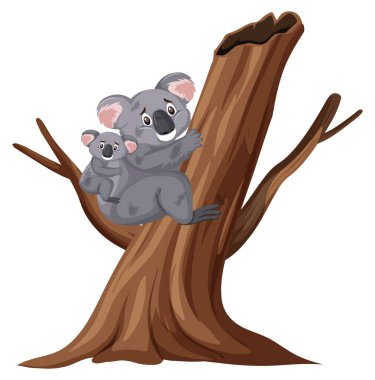 Injured koalas climbing tree on white background