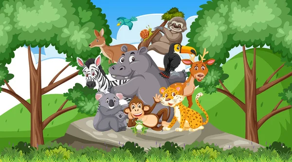 Scene with many wild animals in the forest — Stock Vector