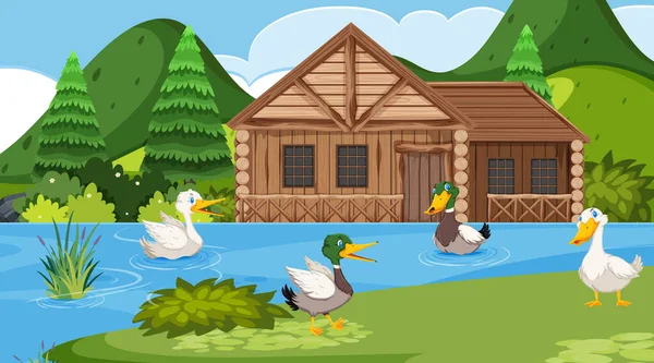 Cena com casa de madeira no campo e muitos patos no lago — Vetor de Stock