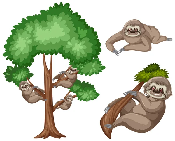 Big tree and cute sloth on white background — Stockvektor