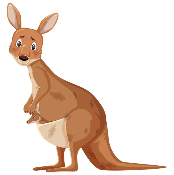 Verletztes Känguru auf weißem Hintergrund — Stockvektor
