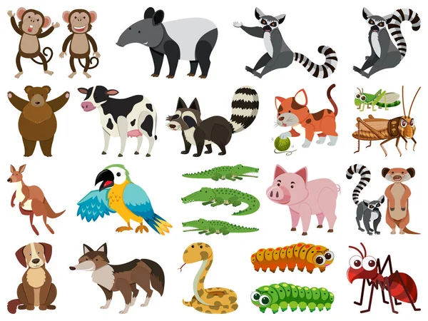 Set of isolated objects theme animals — ストックベクタ