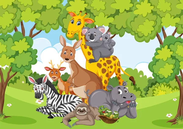 Scene with many wild animals in the park