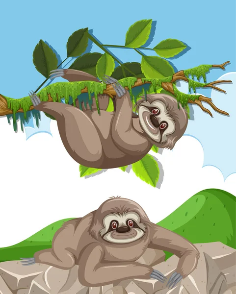 Cena com duas preguiças bonitos subindo na rocha e na árvore — Vetor de Stock