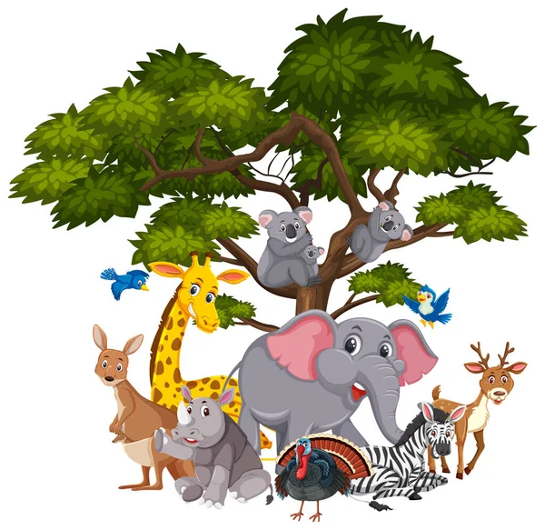 Different types of animals on the tree — Stock vektor