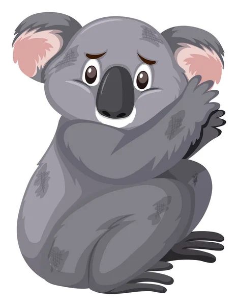 Smutný pohled koala na bílém pozadí — Stockový vektor