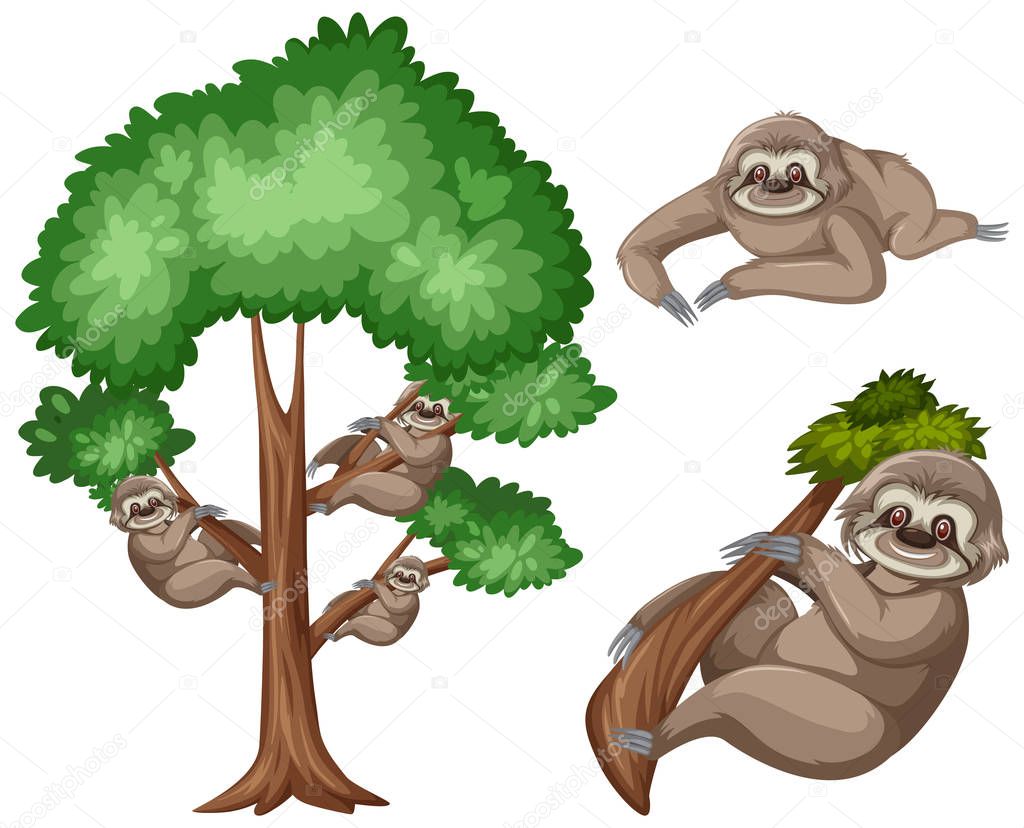 Big tree and cute sloth on white background