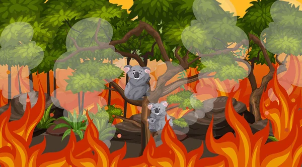 Σκηνή Μεγάλη Πυρκαγιά Και Κοάλα Παγιδευτεί Στην Απεικόνιση Του Δάσους — Διανυσματικό Αρχείο