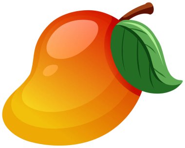 Beyaz arkaplan illüstrasyonunda taze mango