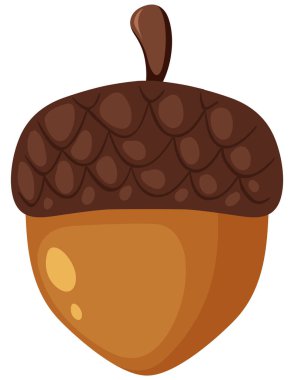 Beyaz arkaplan resimlerinde bir çam kozalağı