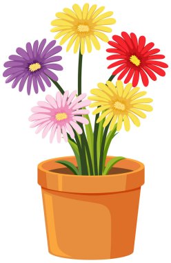 Beyaz arkaplanda renkli çiçek demeti