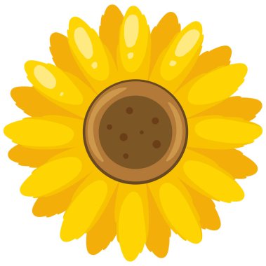 Beyaz arkaplanda sarı ayçiçeği çizimi