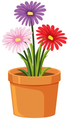 Beyaz arkaplanda renkli çiçek demeti