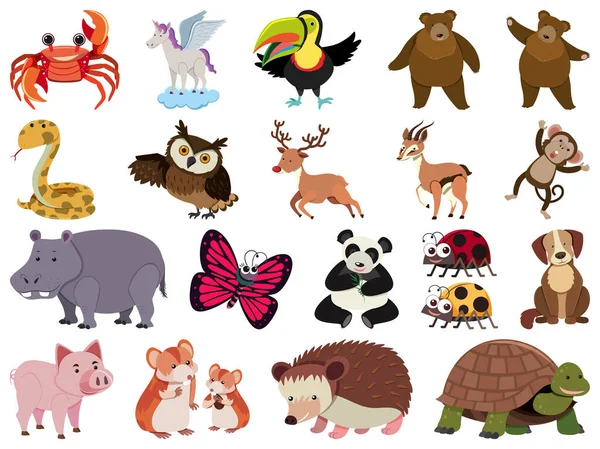 Grand Ensemble Animaux Sauvages Sur Fond Blanc Illustration — Image vectorielle