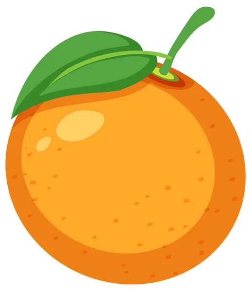 Fresh Orange White Background Illustration — Stock Vector