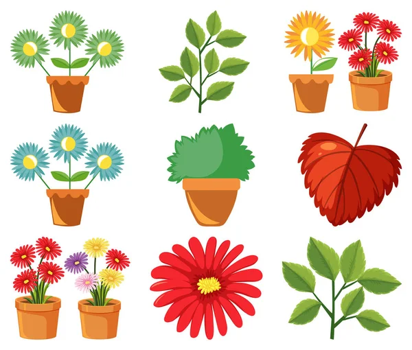 Large Set Nature Flowers Leaves White Background Illustration — Stock Vector