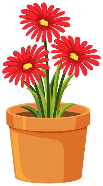 Pot of red flowers on white background illustration