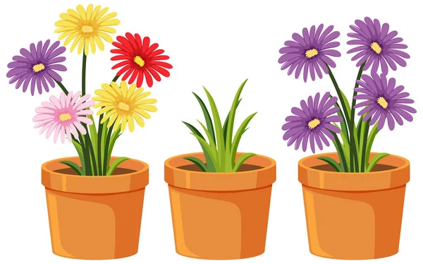 Três Vasos Barro Com Belas Flores Sobre Fundo Branco Ilustração —  Vetores de Stock