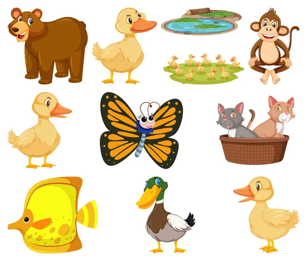 Grote Set Van Verschillende Soorten Dieren Witte Achtergrond Illustratie — Stockvector