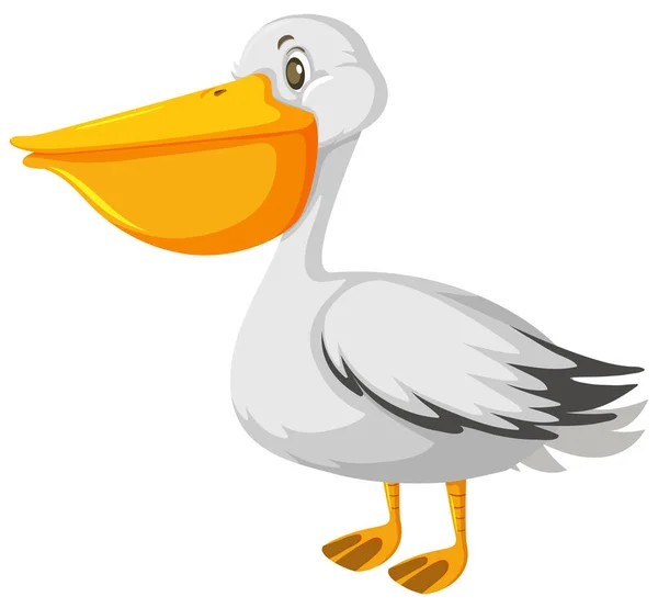 One Pelican Bird White Background Illustration — Stock Vector