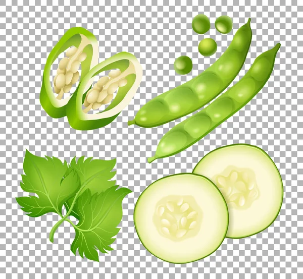 Différents Types Légumes Sur Fond Transparent Illustration — Image vectorielle