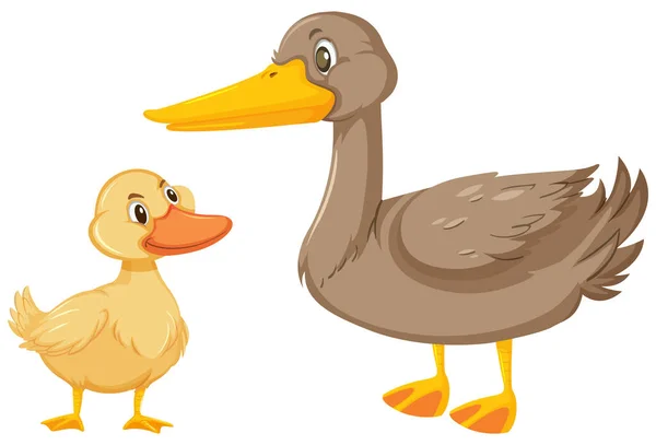 Dos Patos Sobre Fondo Blanco Ilustración — Vector de stock