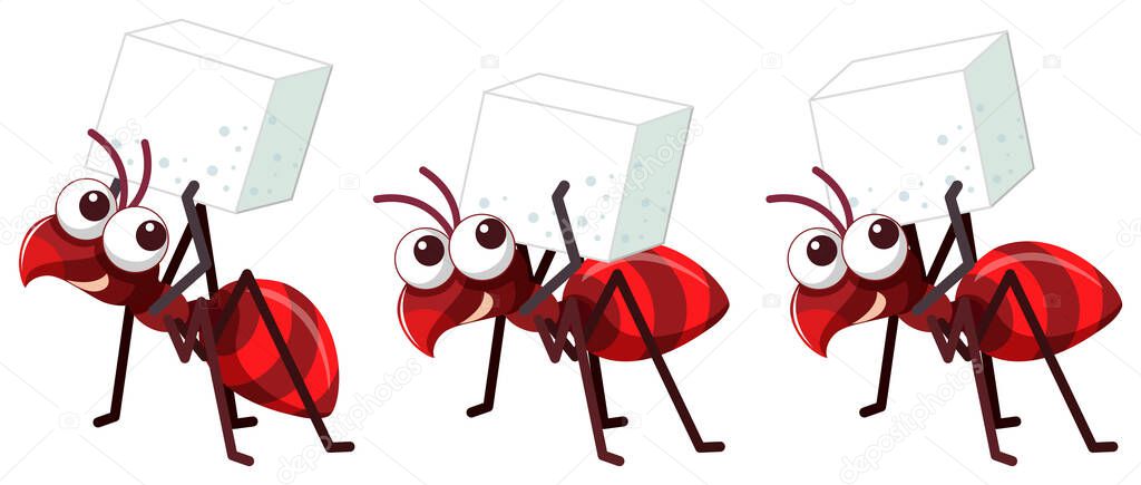 Three red ants with sugar cube on white background illustration