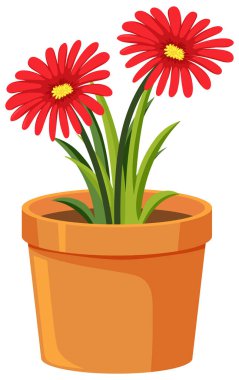 Beyaz arkaplanda kırmızı çiçek demeti