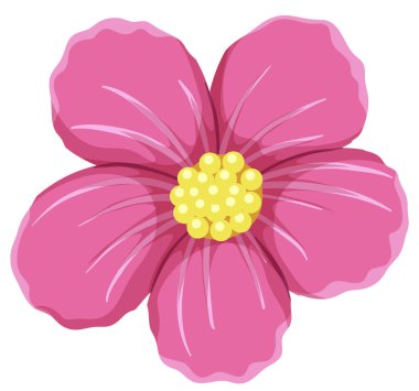 Beyaz arkaplandaki pembe çiçek çizimi