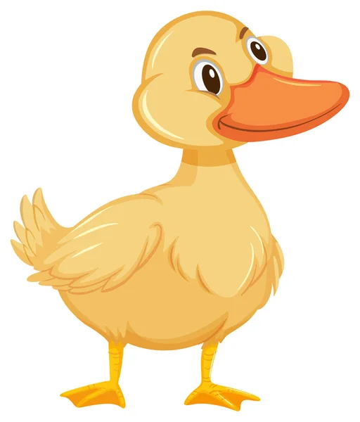 Cute Little Duckling White Background Illustration — Stock Vector