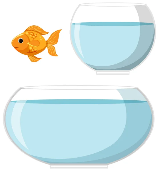 Pez Dorado Dos Cuencos Con Agua Sobre Fondo Blanco Ilustración — Vector de stock